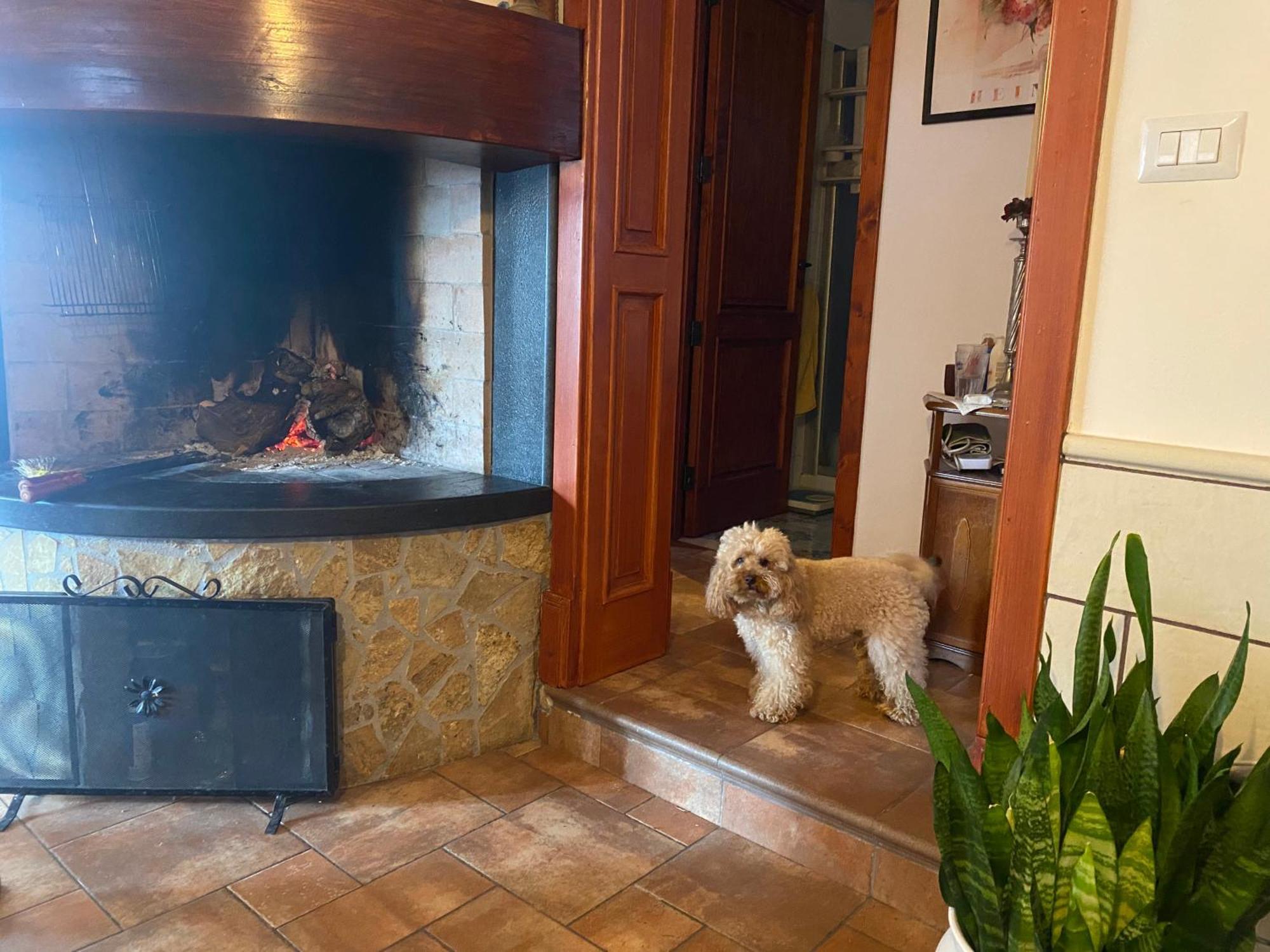 Masseria Tre Archi & Apulia Relais Gentiluomo Quarto foto